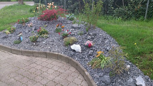 Steinplatten - Reinhardt Gartenbau